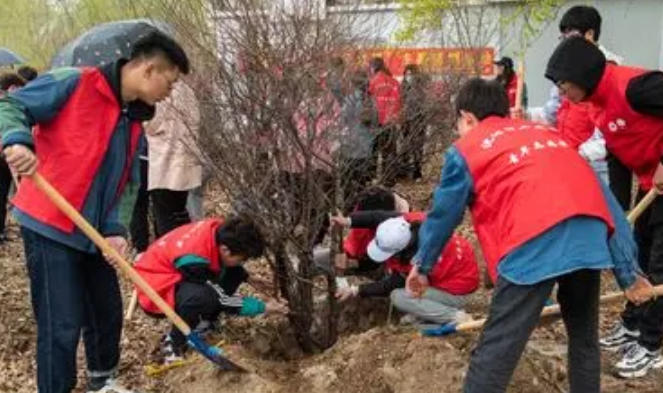 辽宁助理社会工作师的报名费用是多少有什么要求呢(辽宁助理社工报名费用及要求)