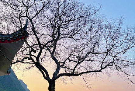 黑龙江心理咨询师考试报名(黑龙江心理咨询师考试报名)