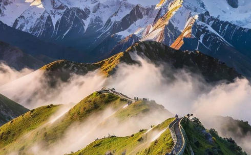 在	山东怎么考心理咨询师证