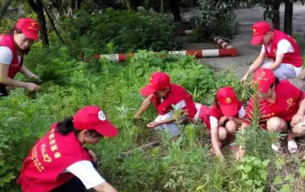 安徽助理社会工作师培训及报考地址报名条件(安徽助理社工培训报名条件)