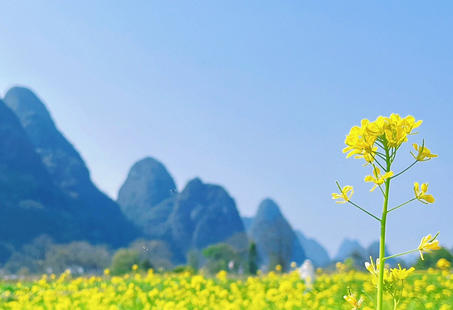 文山心理咨询师证的含金量是多少(文山心理咨询师证含金量高)