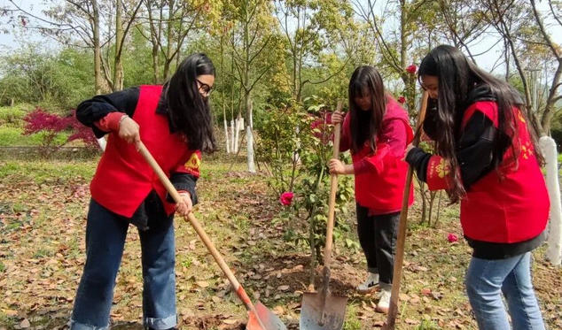 四川省社会工作者考试报名(四川社工报名)