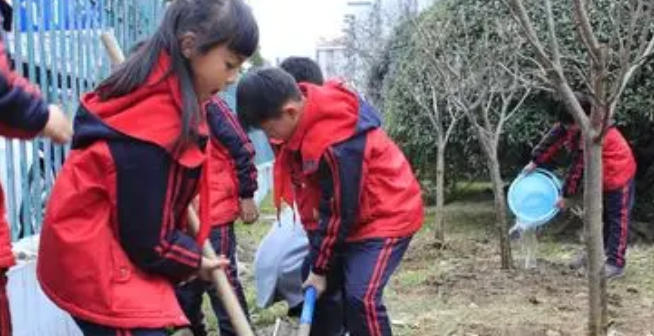 抚顺助理社会工作师考试如何高分通过怎么备考(抚顺助理社工高分备考)